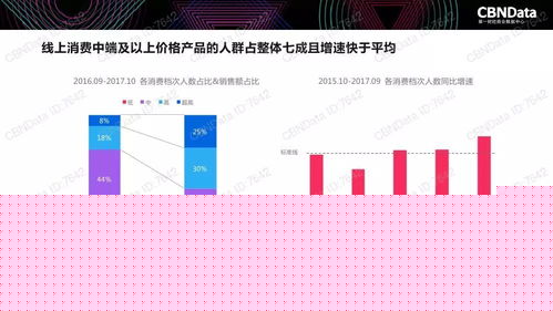CBNData 2017中国互联网消费生态大数据报告 从流量驱动到用户驱动的转型黎明