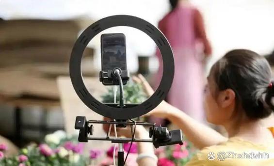 算法失明与质量殉葬 一场通向“数字绝望”的合谋